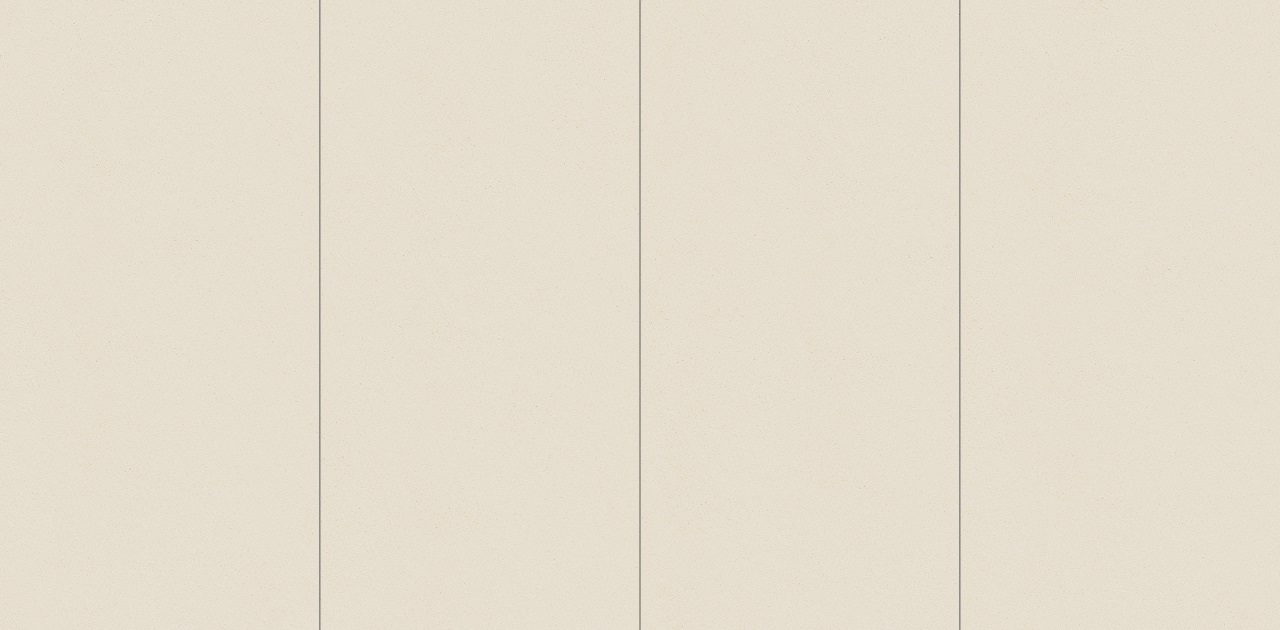 TT系列（哑面陶瓷坯）