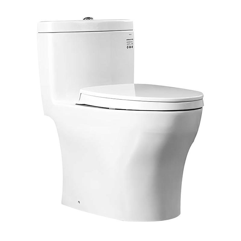 连体坐便器 （进电隐藏）