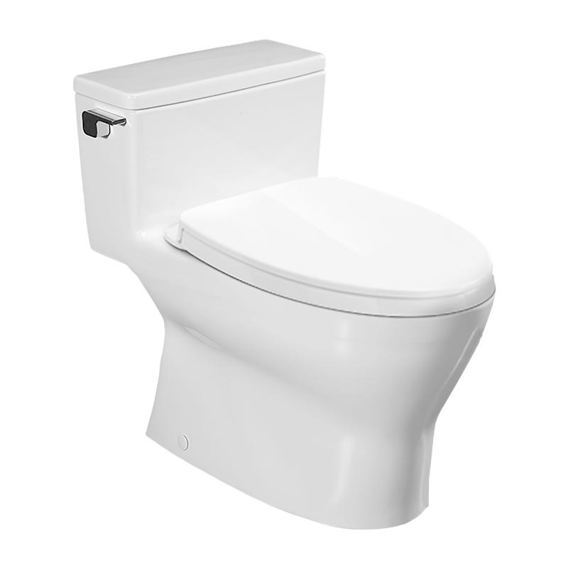 连体坐便器 （进电隐藏）